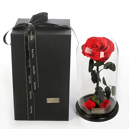 Only Rose Géant Fleur Immortelleboîte De Couverture En