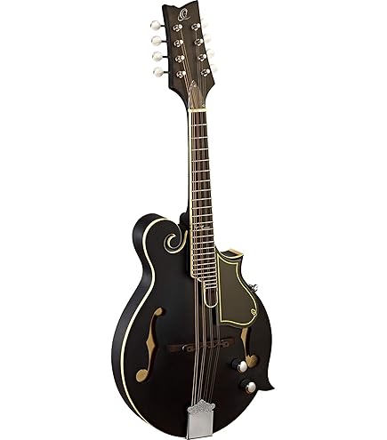 弦楽器 Seagull / S8 Mandolin Sunburst EQ 楽天市場】Seagull S8 Mandolin Sunburst EQ 新品 フラット