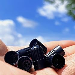 Black TPMS Plastic Tire Valve Stem Caps with Rubber