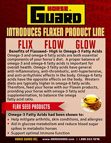 Flix - 100% Flax Treats for Horses - Thumbnail 6