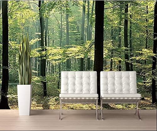 Washington Wallcovering Destinations Murals Enchanted Forest DS8033 12ft 6in Wide x 9ft High
