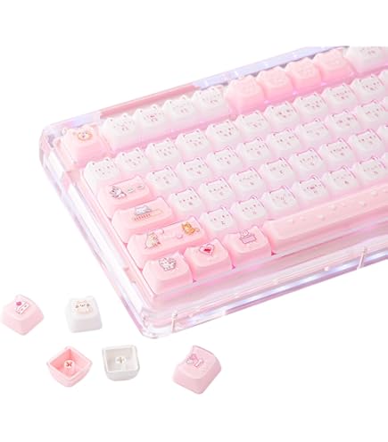 Amazon.com: Akko Keycaps Set, World Tour Tokyo R2 185-Key Cherry