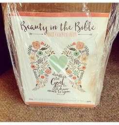 Amazon.com: Beauty in the Bible: Adult Coloring Book (9781941325223