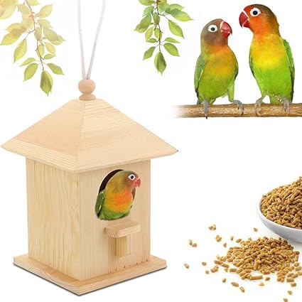 Amazon Com Window Bird Feeder House For Small Birds Finch