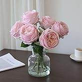 BOJIMSJ Vase with Artificial Flowers Home Decor, Pink Real Touch Peony Floral Arrangement with Faux Water Fixed Stems 11in Glass Vase for Coffee Table, Kitchen Counter, Bathroom, Desk Centerpieces