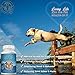 ScruffyPet Pure Omega 3 Wild Fish Oil for Dogs with Vitamin E - Highest EPA & DHA Softgels Available (1000mg) 180ct