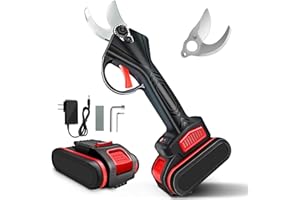 HOOUP Electric Pruning Shears for gardening tree trimming,Professional Cordless Electric Pruning with 2 PCS Rechargeable 2Ah Lithium Battery and 25mm Cutting Diameter, Tree Branch Pruner (Black)