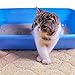 Cat Litter Mat, Extra Large Cat Box Mat - Cat Litter Track Mat Best Litter Mats for Cats & Kitty Litter Boxes Jumbo Size, No BPA