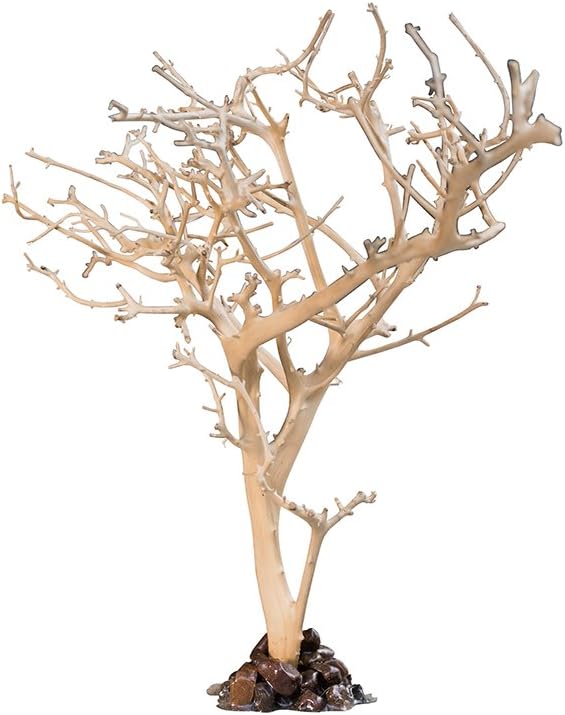 Thai4living Zweigskulptur Holzskulptur Baum Schmuckhalter Dekoration Aus Tirveng Holz In Der Farbe Natur Amazon De Kuche Haushalt