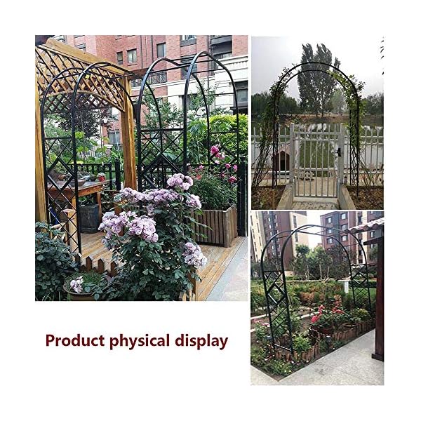 LYBC Garten-Rosenbogen Stahl Torbogen Schwarz Rankhilfe Rankgitter,140cm 180cm 220cm 260cm 300cm 340cm Für… – Bild 8