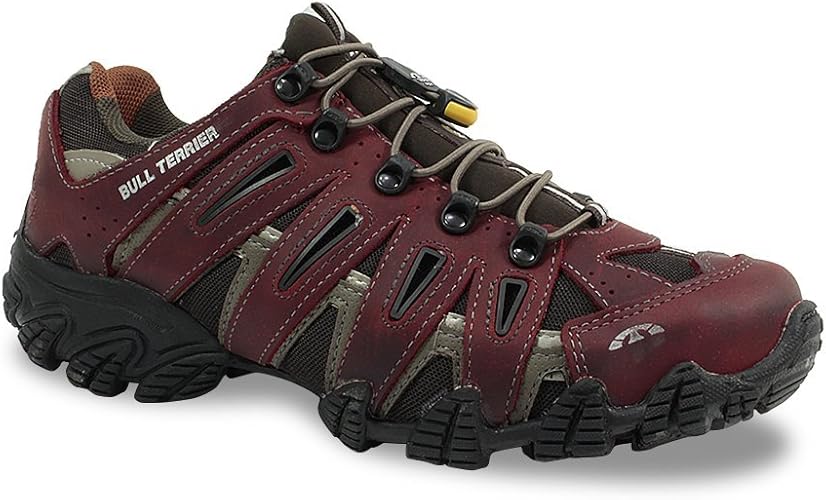 tenis bull terrier dragon 2