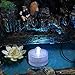Submersible Underwater LED Lights Waterproof Tea Lights for Wedding, Centerpiece, Under Vase Lighting, Floral Arrangements, Xmas, Holidays, Fish Tank, Pond Light Decoration(Cool White/12 Pack)