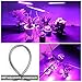 Grow Light, Belle 27W Timing 54 LED 5 Dimmable Levels Plant Grow Lights for Indoor Plants with LED Lamp Bulbs Spectrum, 3 6 12H Timer, 3 Switch Modes, Silver