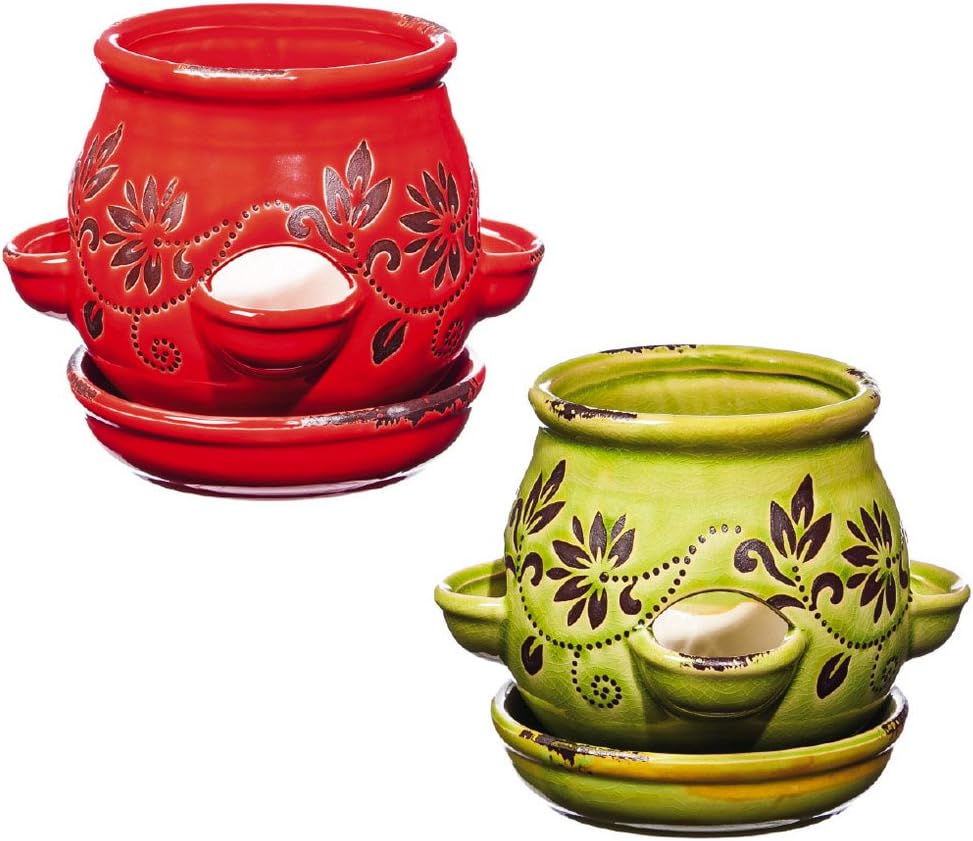 Evergreen Botanical Ceramic Strawberry Planters, Set of 2 Amazon.co.uk
