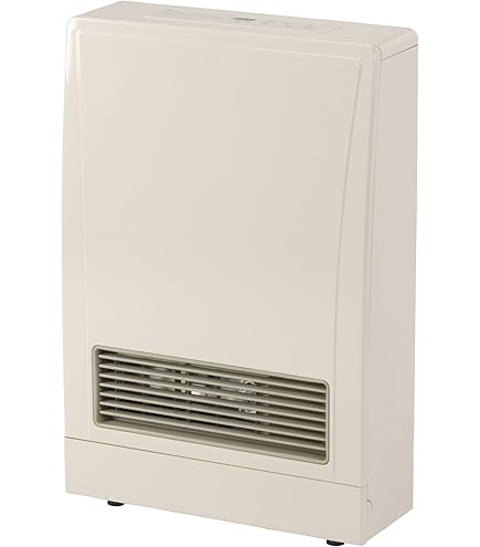 Rinnai FC510P Ventless Propane Heater, Energy-Efficient Space