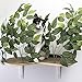 On2Pets Cat Furniture Canopy Shelves for Climbing, Playing and Relaxing, Set of 2thumb 1