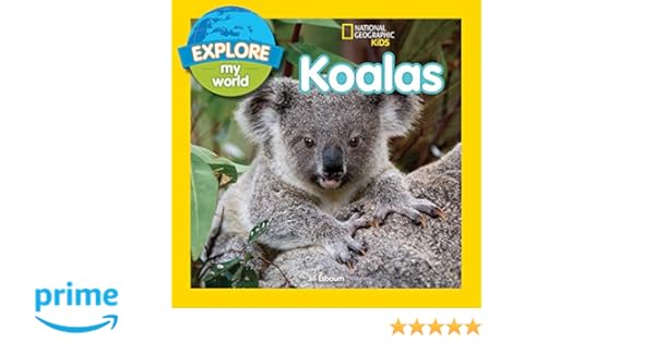 Explore My World Koalas Jill Esbaum 9781426318771 Amazon Com Books