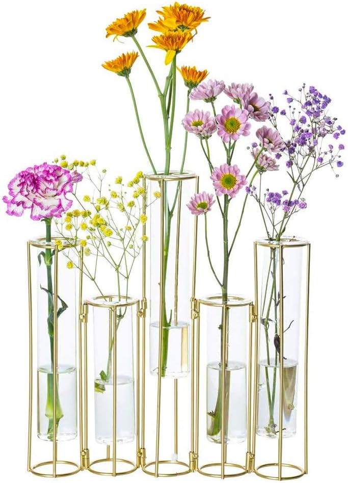 Test Tube Vase for Flowers Set of 5 Glass Vase with Iron Stand Racks Hydroponic Test Tube