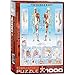 EuroGraphics Human Body Puzzle (1000-Piece)