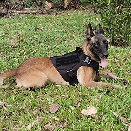 ICEFANG Tactical Dog Harness ,XLarge Size, 2X Metal Buckle,Working Dog
