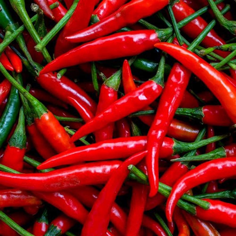 Chilli De Cayenne Seeds – Pack of 40 Seeds – Ideal for Windowsill or Patio – Use Fresh or Dried – Grow in Your Kitchen Garden
