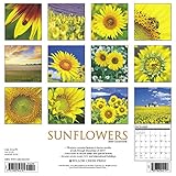 Image de Sunflowers 2018 Calendar