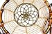 Ricdecor Handmade Indian Peacock Feathers Dream Catcher Wall Hanging Car Hanging Decoration Ornament 25.6 Inch Long (Dia 7