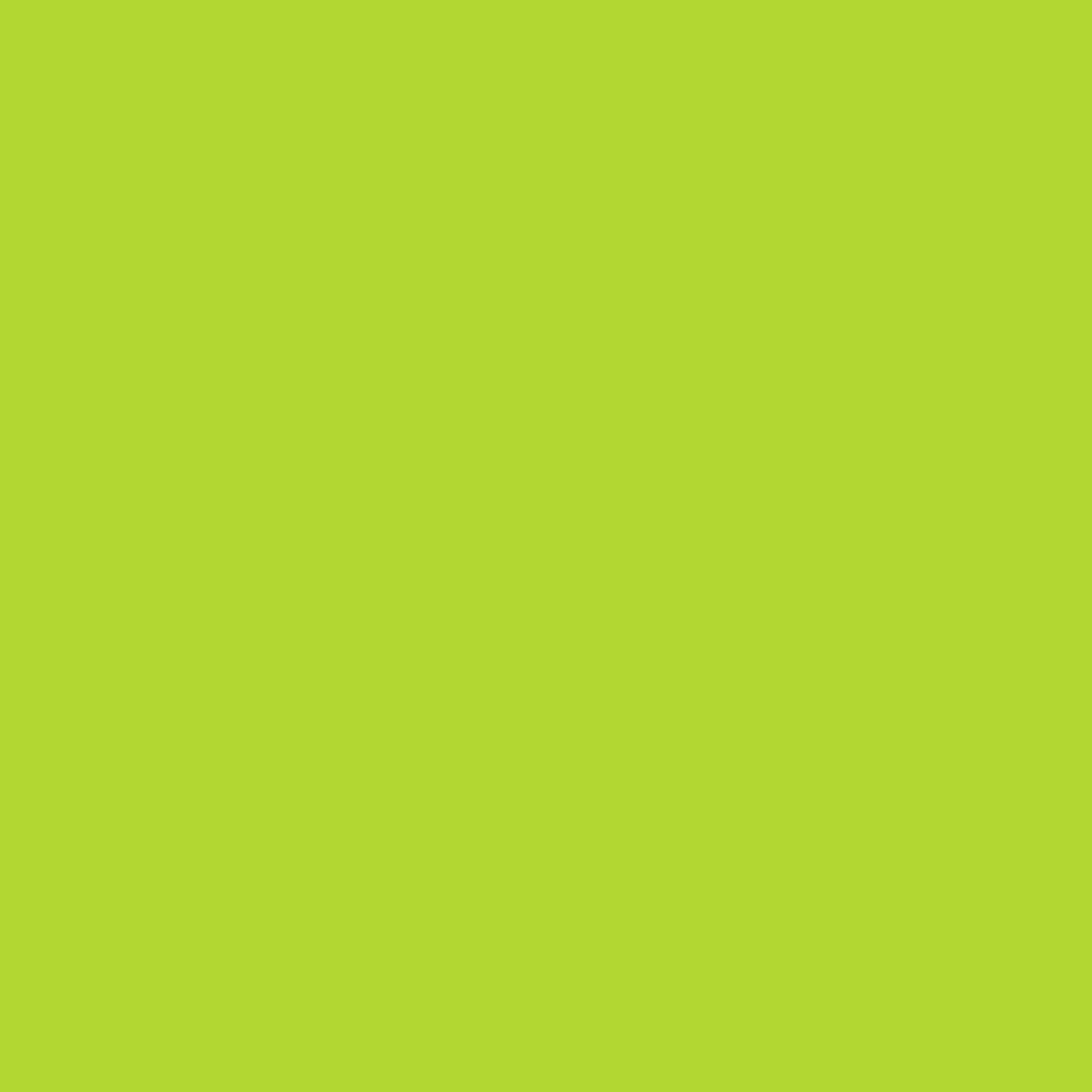 Acrylic Sheet A4 (297mm x 210mm / 11,69'' x 8,26'') 3mm Thick, Plastic Panel Plate for Model Building, Home, House and Garden, Font Colour:Lime Green