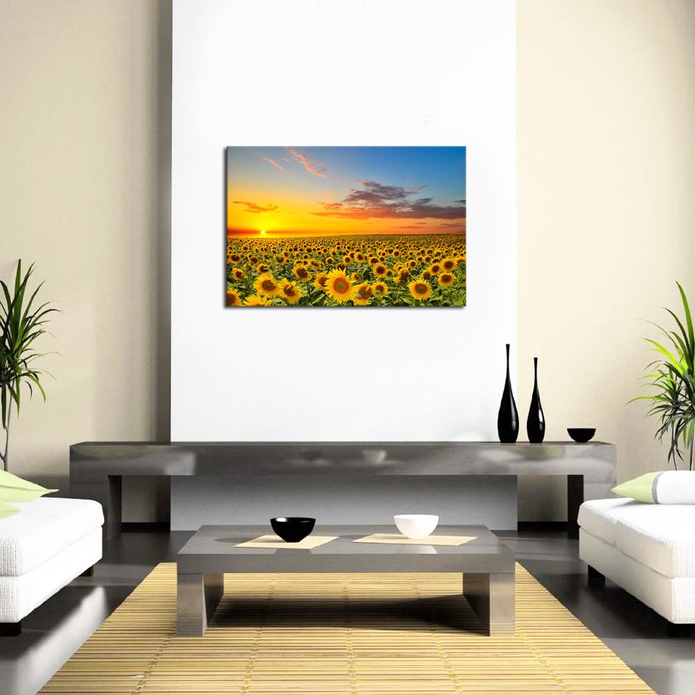 https://images-na.ssl-images-amazon.com/images/I/613nocBgNjL.jpg