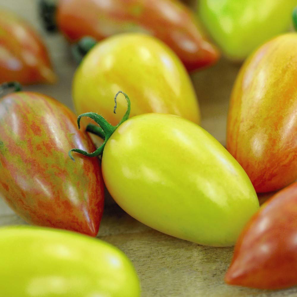 Tomato 'Artisan Mix' Seeds Half Hardy Annual Fruit Vegetable Garden Plants Easy to Grow Your Own 'Artisan Mix' 1 Packet of 8 Seeds by Thompson and Morgan