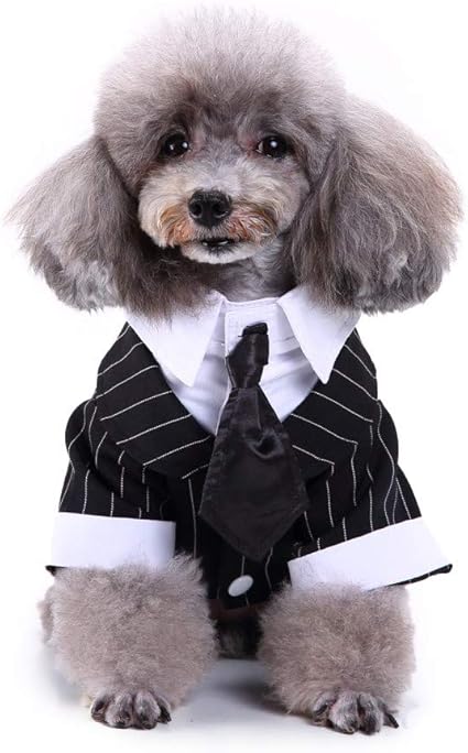 Immagini Natalizie Di Animali.Before Now Costume Natalizio Di Halloween Per Animali Suit Abito A Righe Nero Per Cani Con Cravatta Nera In Stile Gentiluomo Amazon It Prodotti Per Animali Domestici