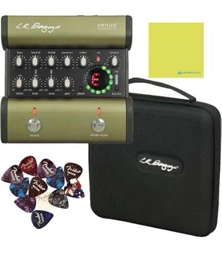 Amazon.com: LR Baggs Session DI Acoustic Guitar Preamp + DI Bundle