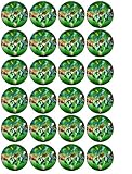 24 Ben 10 Alien Force Cupcake Toppers