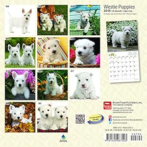 West Highland White Terrier Puppies 2018 7 x 7 Inch Monthly Mini Wall Calendar, Animals Dog Breeds Terrier Puppies (Multilingual Edition)