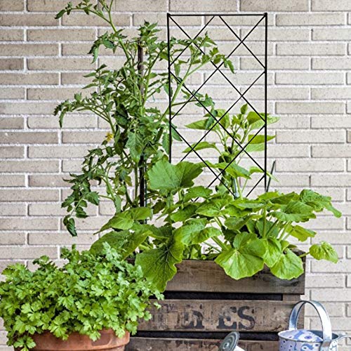 ELT Schmiedeeisen Faltbare Blumenstütze Garten Rankgitter Pflanzenstütze zum Klettern Faltbare Reben und Blumenständer… – Bild 7