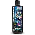Brightwell Aquatics MicroBacter Start XLM - Concentrated Freshwater Nitrifying Bacteria - Quick Start Fish Tank Starter, Lift Microbe Levels & Water Filtering - Aquarium Water Treatments, 4.22 fl oz