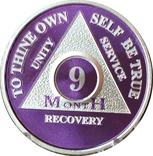 9 Month Purple Silver Plated AA Medallion Chip