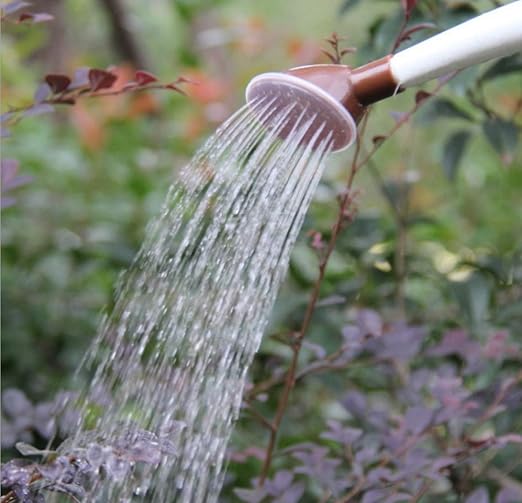 HOUYAZHAN Regaderas Fuentes de jardinería Macetas de riego ...