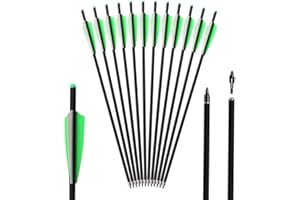 I-sport Archery Carbon Crossbow Arrows 20 Inch with 4" Vanes and Replaceable Field Points Crossbow Bolts 12 Pack