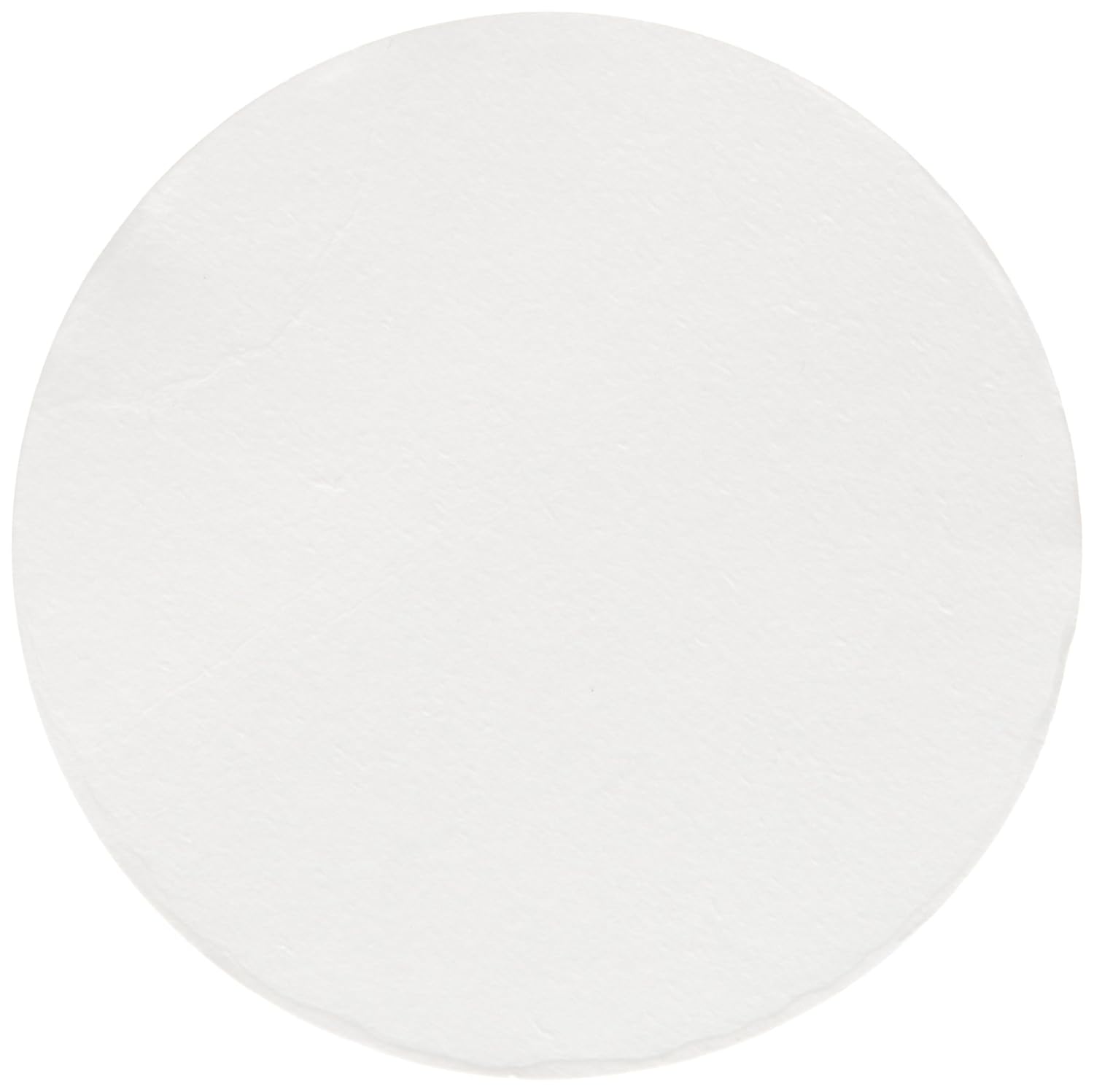 Industrial 50mm Disc Whatman 67225000 VACUGUARD Vacuum Protection