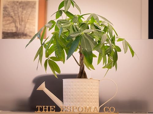 indoor led plant Full Spectrum Indoor Plant Grow Light | Grow Lamp