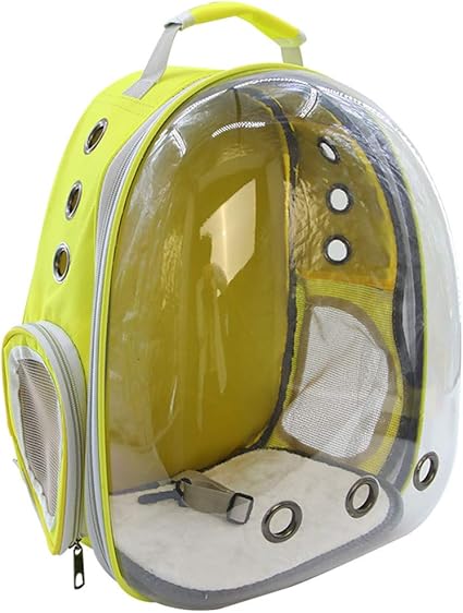 bag for cat with window