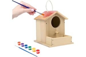 THICK&THIN Bird House Kits for Adult, Wooden DIY Birdhouse Kit, Outdoor Woodworking Crafts Freestyle Painting, Arts and Crafts Projects with Paints & Brushes, Hanging Birdhouse for Garden Yard Decor Gifts (1Pcs)