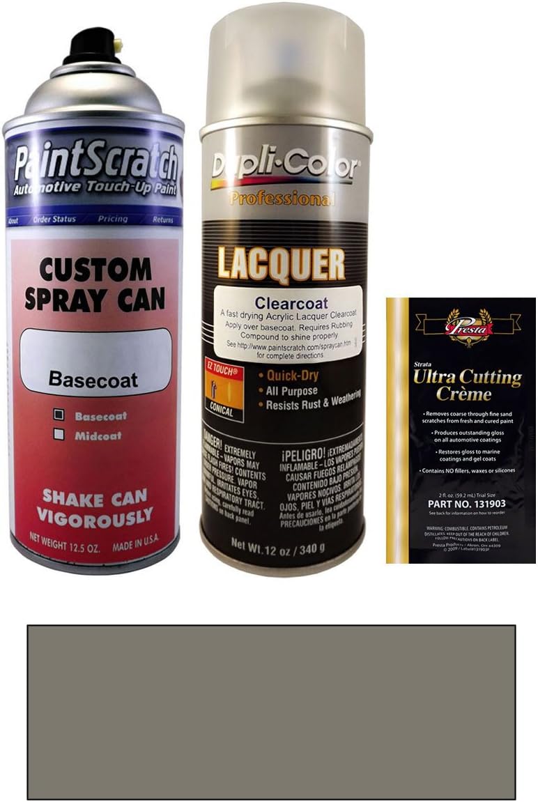 12.5 Oz. Meteor Gray Metallic Spray Can Paint Kit for 2010