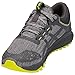ASICS Women's Alpine XT Running Shoe