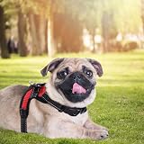 FUNKEEN PET HOUSE Dog Harness No Pull Adjustable XS Red Mesh Breathable view 7