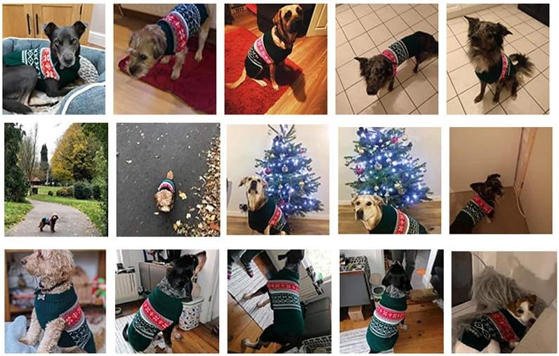 LuzPet Green Dog Christmas Jumper, Xmas Dog Jumpers Knitted Outfits Warm Sweater Dog Costumes, for Large Breed Dogs Bulldog - Image 4