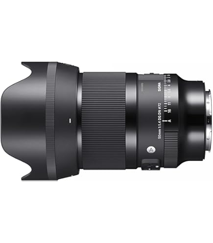 Amazon.com : Sigma 50mm F1.4 Art DG HSM Lens for L Mount : Electronics