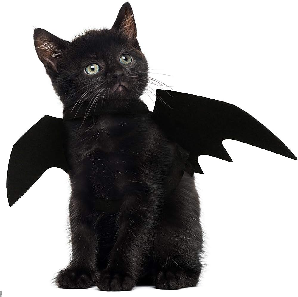 JDYW Pet Cat Costume Bat Wings Pet Accessories Fancy Dress for Cat Dog Party Festival Halloween Outfits for Pets