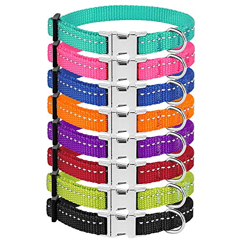 CollarDirect Small Dog Collar with Metal Buckle Nylon Reflective Puppy